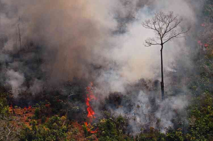 A une soixantaine de kilomètres de Porto Velho, d’épais rideaux de fumée grise étaient visibles au-dessus de la végétation tropicale où des flammes dévoraient des arbres (ici dans l’Etat du Rondônia, au Brésil).