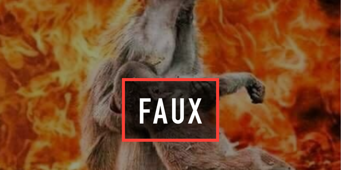 La Photo Truquee De La Maman Singe Qui Pleure Son Bebe Dans L Amazonie En Flammes