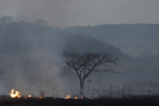 Un incendie dans l’Etat du Mato Grosso, au Brésil, le 23 août.