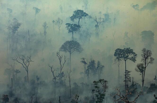 Greenpeace présente une photo aérienne montrant de la fumée s’échappant de feux de forêt dans le biome amazonien au Brésil, le 23 août.