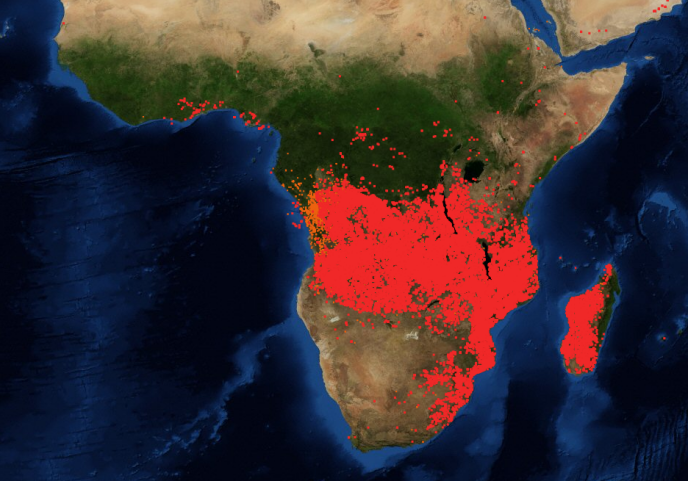 En Afrique Centrale La Forêt Brûle Aussi Mais Pas Pour Les