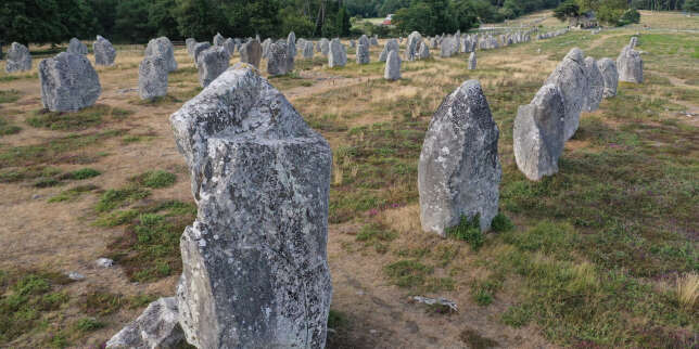 Une trentaine de monolithes multimillénaires découverts en Auvergne
