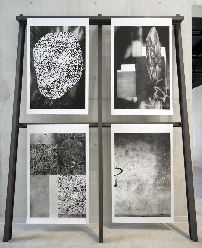 Gravures de Frédéric Teschner à la Biennale 2019 de Chaumont.