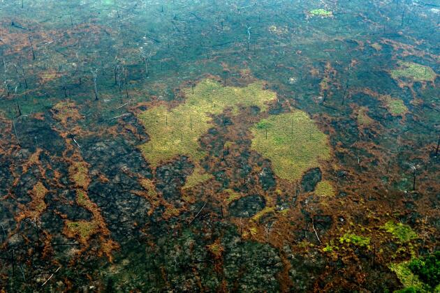 Autre vue aérienne d’une zone brulée de l’Amazonie, près de Boca do Acre, dans l’Etat d’Amazonas au Brésil, le 24 août. Cet écosystème, qui représente seulement 1 % de la surface émergée du globe, abrite 10 % des espèces connues et, selon des estimations, jusqu’à 25 % de la biodiversité.