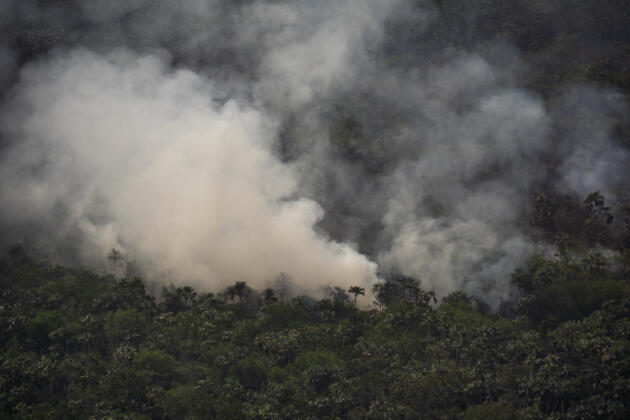 Un feu de forêt près de Porto Velho au Brésil, le 27 août.