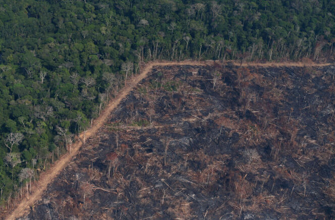 « La carte des départs de feux en Amazonie recoupe sans surprise les bordures entre forêt, champs mis en culture et surtout aires de reproduction des troupeaux de plus de 100 000 têtes » (photo : Incendie, près de Porto Velho, Etat du Rondônia, partie haute du bassin de l’Amazone, le 29 août 2019).