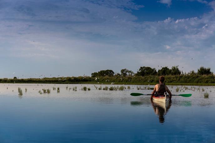 Un sortie en kayak au cœur du marais de la Seudre.