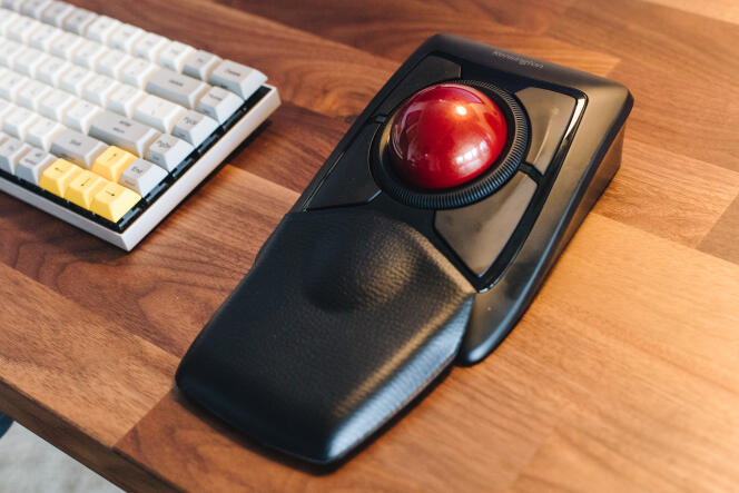 Le repose-poignet détachable de l’Expert Mouse prend beaucoup de place sur un bureau, mais c’est un plus pour le confort d’utilisation.