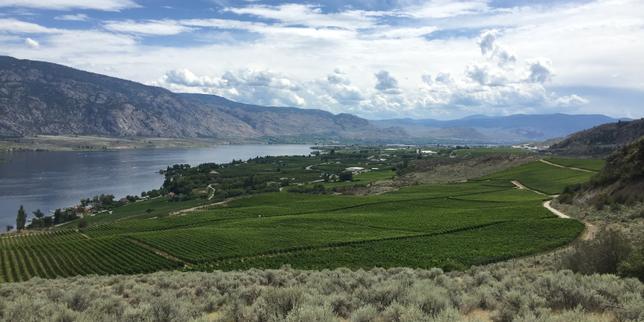 La vallée de l’Okanagan, eldorado vinicole canadien
