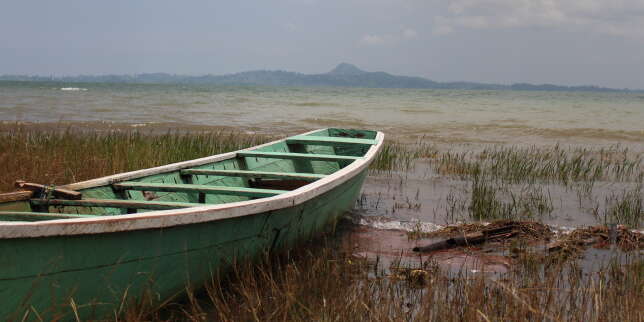Ghana : sur le lac Volta, le calvaire des enfants esclaves. De nombreux mineurs sont forcés de travailler dans l’industrie de la pêche sur le plus grand lac artificiel du monde et subissent quotidiennement des violences https://www.lemonde.fr/afriqu