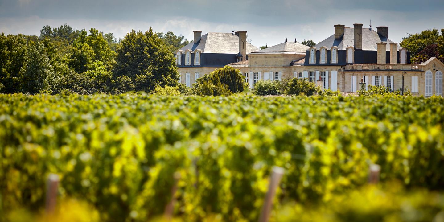 Léoville un nom, trois grands crus du Médoc