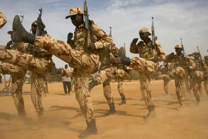 Des soldats tchadiens s’entraînent lors d’un exercice conjoint encadré par l’armée américaine à Diffa, au Niger, en mars 2014.