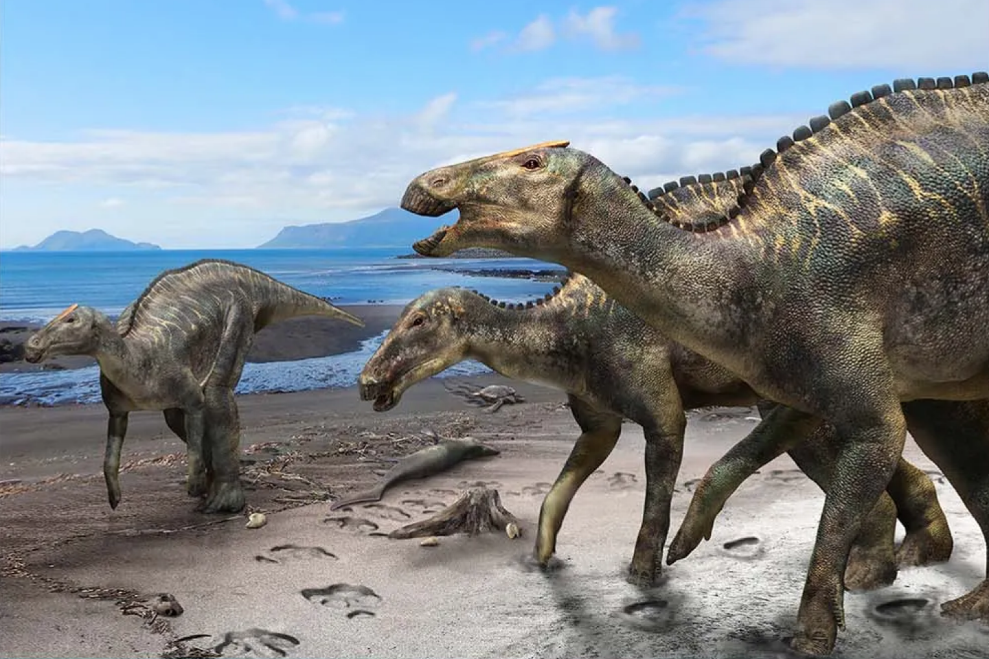 Une nouvelle espèce de dinosaure découverte en Argentine