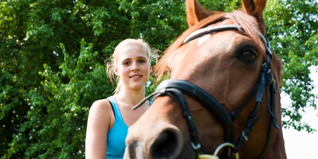 Equitation : quand le cheval se cabre