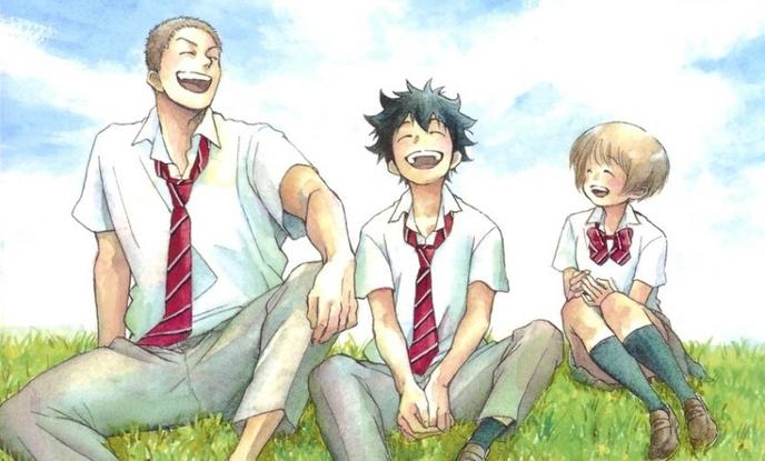 Ao No Flag Wiki About Flag Collections