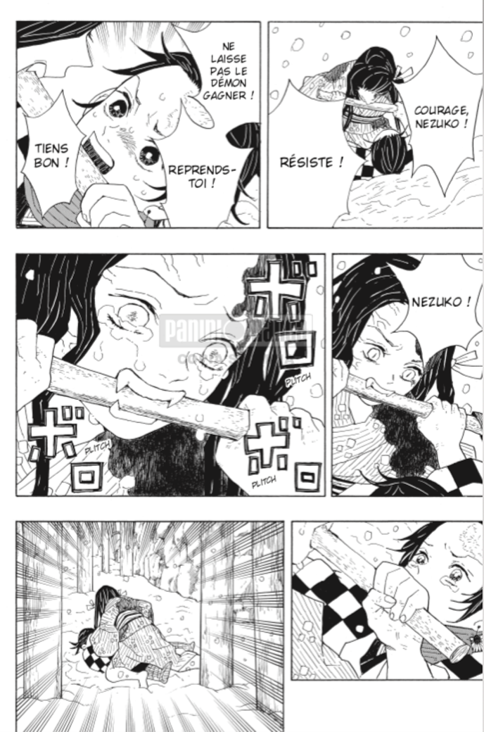 Une planche du tome 1 de « Demon Slayer ».