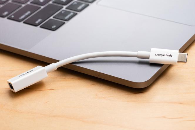 Adaptateur Charge + Synchronisation Lightning Femelle vers USB Type C -  Argent - Français