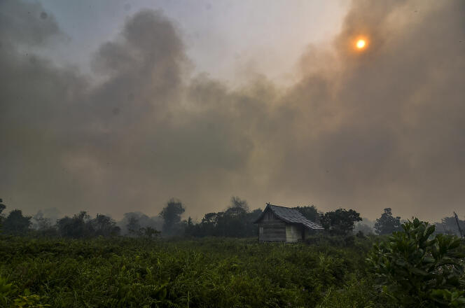 Les incendies se sont multipliés ces dernières semaines en Indonésie.