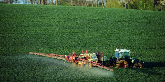 Les autorités sanitaires ont-elles minimisé les risques sanitaires présentés par une nouvelle famille de pesticides SDHi ? https://www.lemonde.fr/planete/article/2019/09/20/pesticides-sdhi-les-autorites-sanitaires-dans-la-tourmente_6012386_3244.html?utm_m