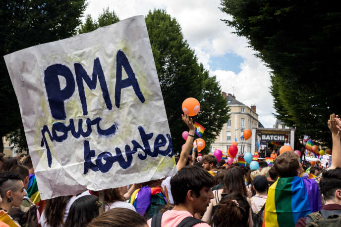 Une pancarte en faveur de la PMA brandie au-dessus du cortège de la Marche des Fiertés de Rennes, le 8 juin.