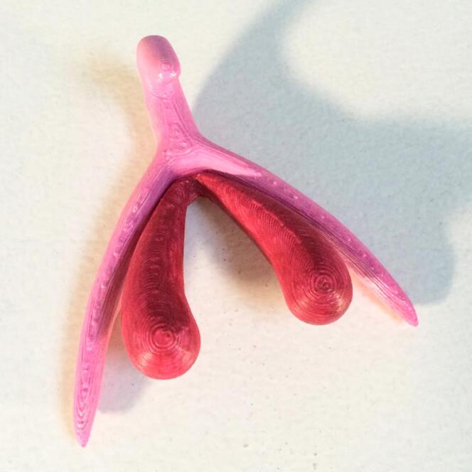 Le modèle de clitoris (dans sa première version), imprimé en 3D à partir des recherches d’Odile Fillod.