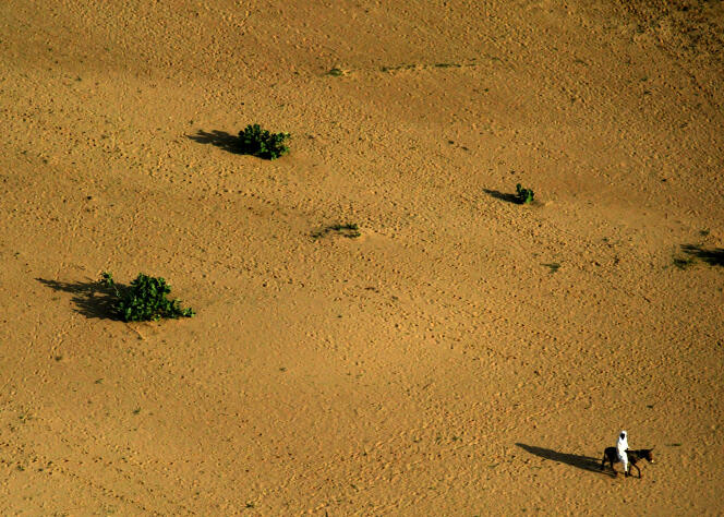 Un lit de rivière asséchée près de Bredjing, dans l’est du Tchad, en août 2004.