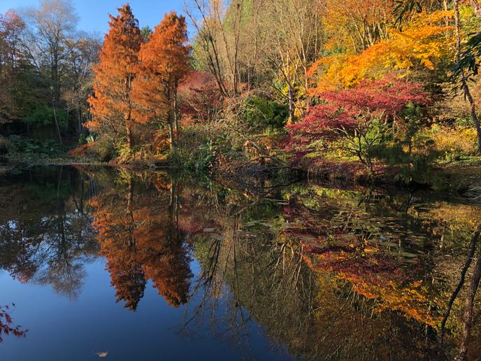 Le jardin de l’étang de Launay, créé par Jean-Louis Dantec, à Varengeville (Seine-Maritime).