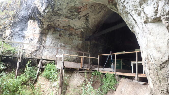 La grotte de Denisova (Altaï russe), qui, il y a 300 000 ans abritait déjà des homininés, a été majoritairement occupée par des grands carnivores.