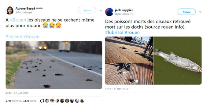 Voici deux exemples de messages faisant le lien entre des morts d’animaux et la catastrophe de Lubrizol (le compte intitulé « Aurore Bergé », à gauche, n’est pas celui de la députée LRM mais un profil qui se dit « parodique »).