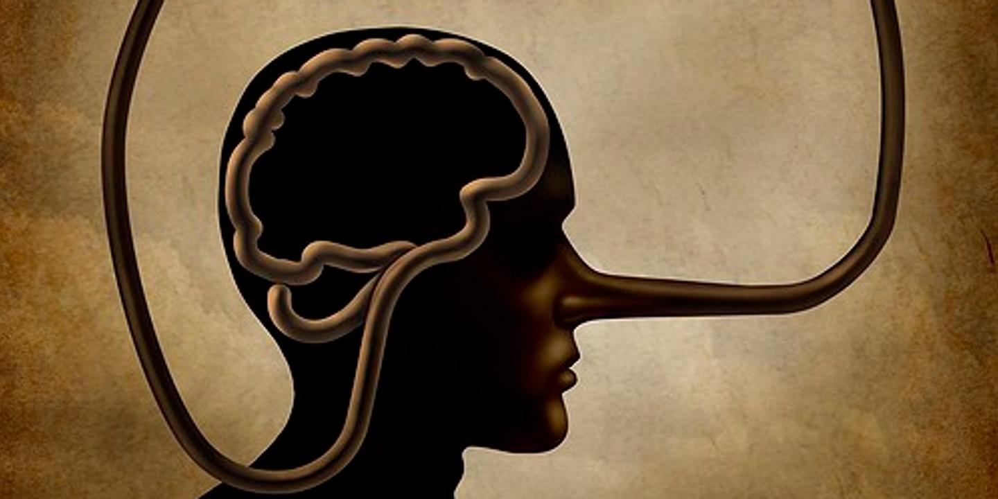 Que Se Passe T Il Dans Le Cerveau Du Menteur