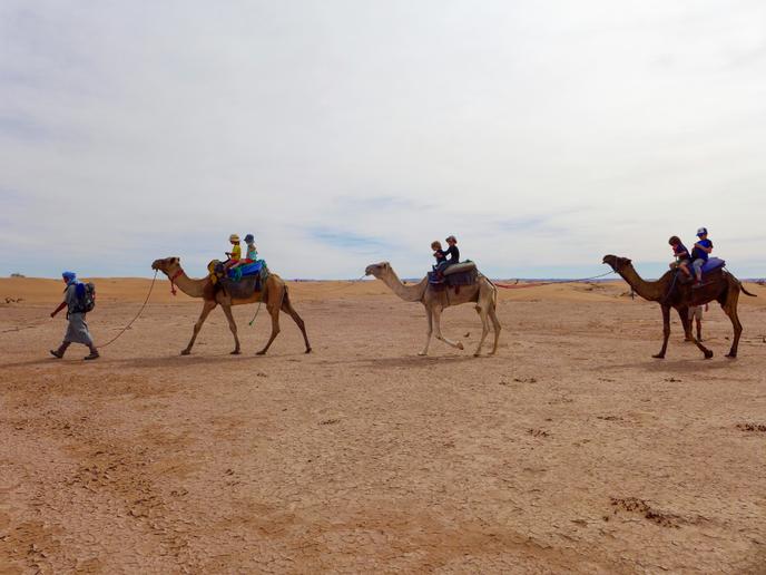 Rando chamelière au Maroc.