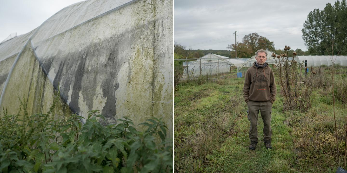 JULIEN PAQUIN POUR LE MONDE Le nuage de suie a laissé des traces noires entre autres sur les serres de Pascal Henache à Sommery, dans le Pays de Bray situé à 36,7km de l'usine Lubrizol.