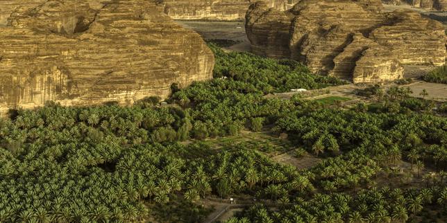 La science à la conquête de l’oasis d’Al-Ula