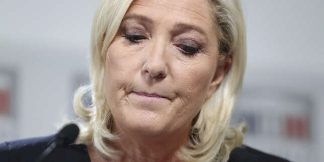 La Cour de cassation rejette le pourvoi de Marine Le Pen, caricaturée en étron fumant