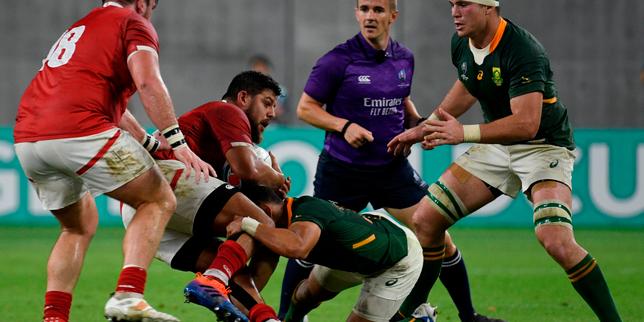 Coupe du monde 2019 de rugby : des amateurs ou semi-pros se font encore une place Coupe du monde 2019 de rugby : des amateurs ou semi-pros se font encore une place