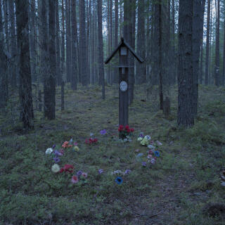 An improvised memorial for the victims of the Stalin's Great Purge placed near a burial pit in the woods of Sandarmokh. 
Located next to the Belomorkanal, which was constructed almost entirely by forced labour of Gulag prisoners, these woods served a place for mass executions in 1937-38, when more than 9000 people of 58 nationalities where executed on the pretext of the anti-Soviet activity.