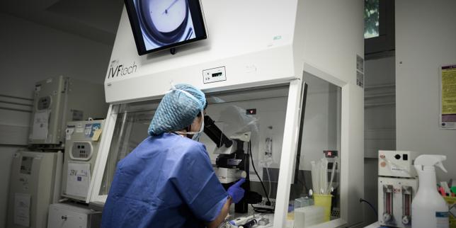 « Pour une réforme de la PMA conforme aux droits de l'enfant »