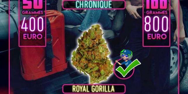 « Les applications offrent une plus grande visibilité à certaines drogues »