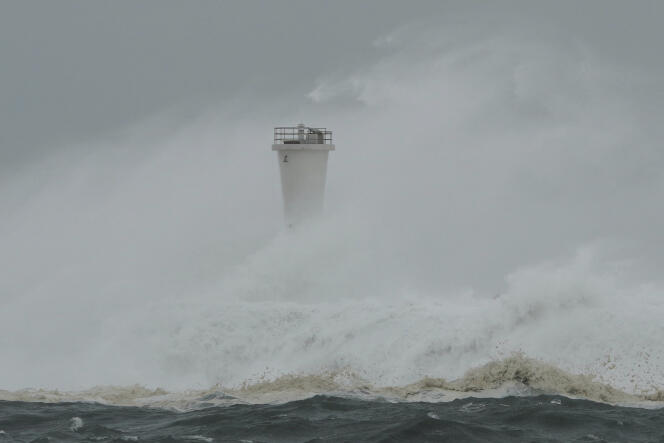 Au cœur du typhon, les vagues atteignaient des pics de 12 mètres, le 12 octobre, selon le site de météorologie Windy.