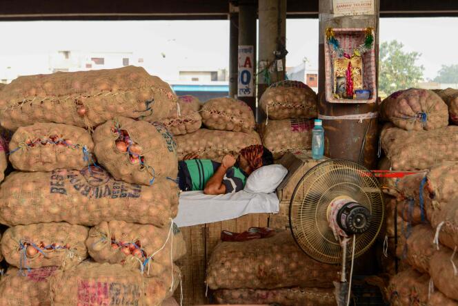 Un ouvrier fait la sieste sur des sacs d’oignons dans un marché de légumes en gros, à la périphérie d’Amritsar, en Inde, le 19 septembre.