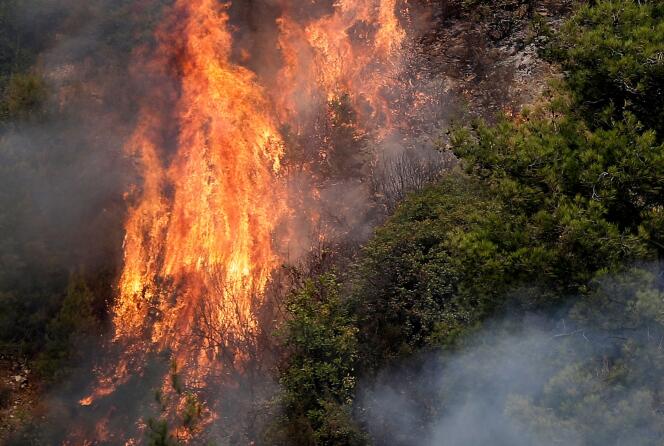 Un incendie dans la région montagneuse du Chouf, au sud de Beyrouth, mardi 15 octobre.