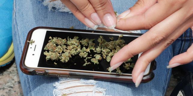 Politique des drogues : « La répression n’a jamais fonctionné »