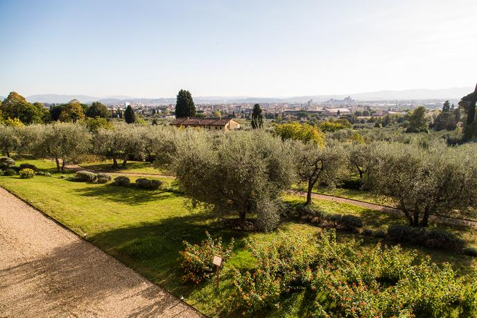 Il giardino di Santa Maria Novella si compone di circa cinquanta specie di piante medicinali.