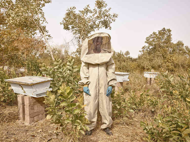 « Le miel est très précieux au Sénégal. Idrissa est membre d’un collectif créé par l’ONG Le Korsa dont la mission est d’améliorer les conditions de vie des habitants de la région. »