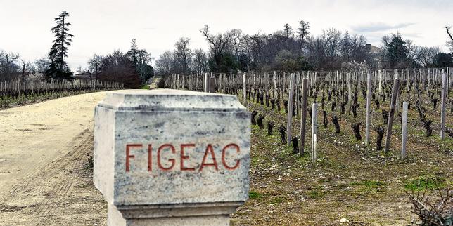 Dans le Saint-Emilion, les caves se rebiffent