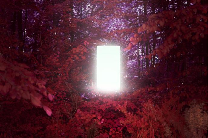 « Solastalgia », une installation d’Antoine Viviani et de Pierre-Alain Giraud.