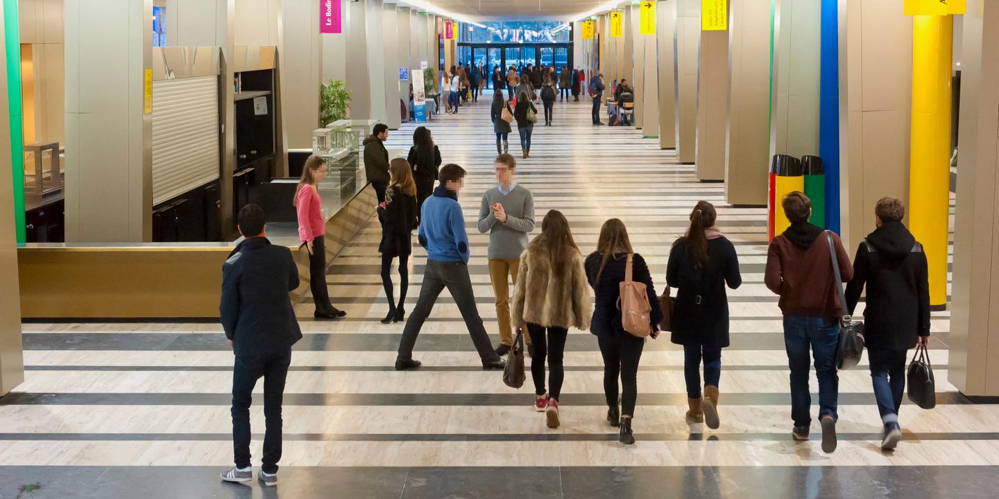L’avenir pas si bien tracé des étudiants en double licence