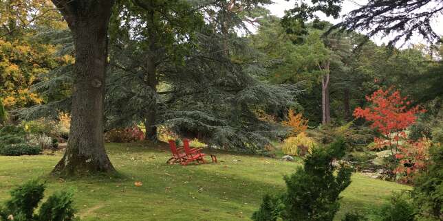 Le temps d'un week-end, les très beaux jardins de Varengeville se sont entrouverts au public