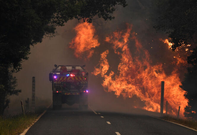 Un camion de pompiers près d’un feu de brousse à Nana Glen, près de Coffs Harbour, en Australie, le 12 novembre.