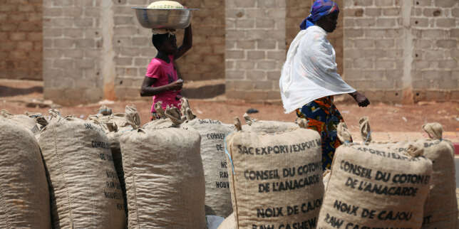 Le développement, fragile rempart contre la menace terroriste dans le Nord ivoirien